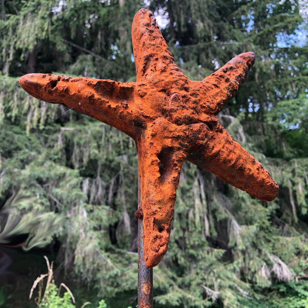 Starry Starry Iron Stars