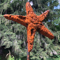Starry Starry Iron Stars