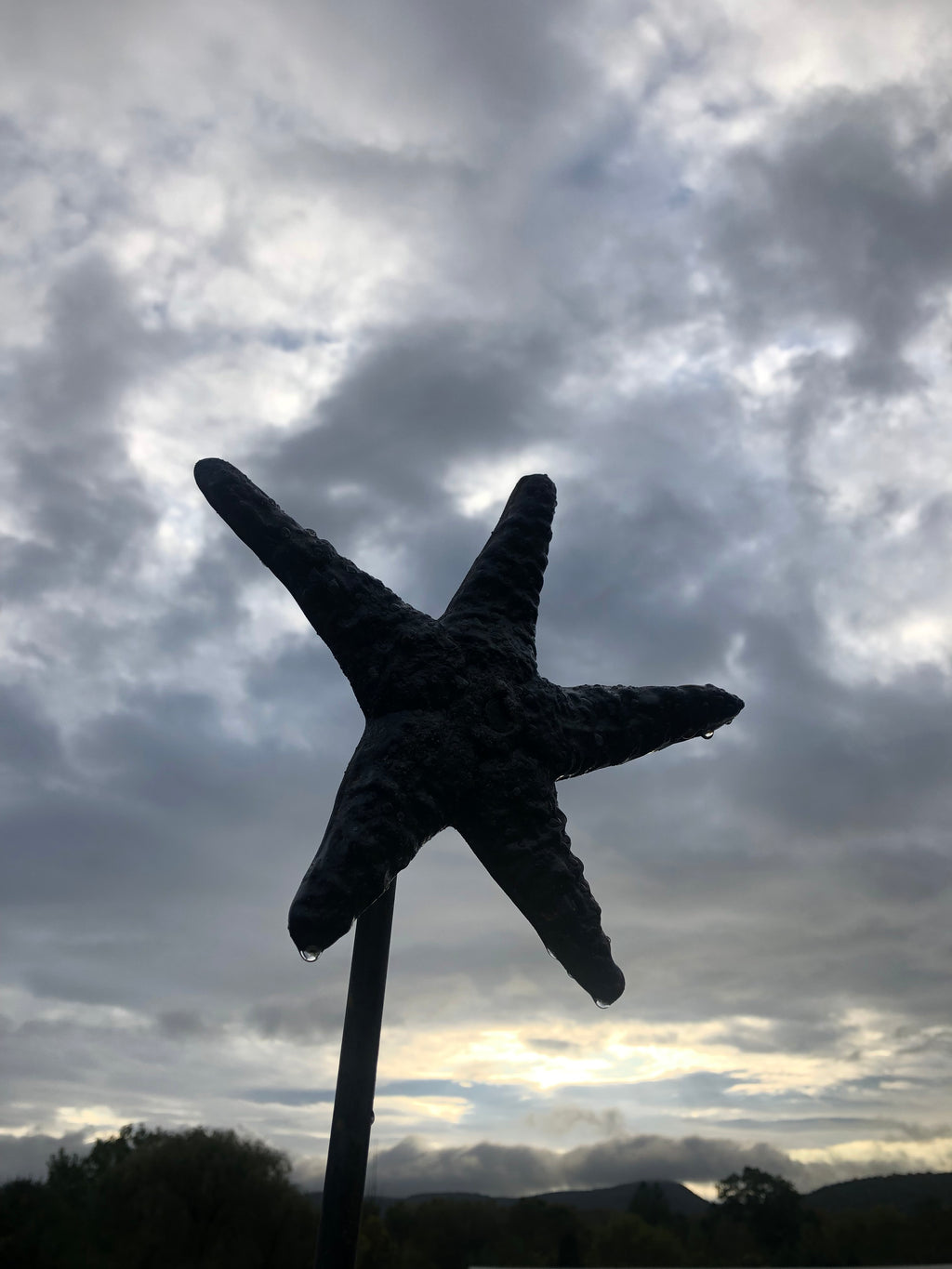 Starry Starry Iron Stars