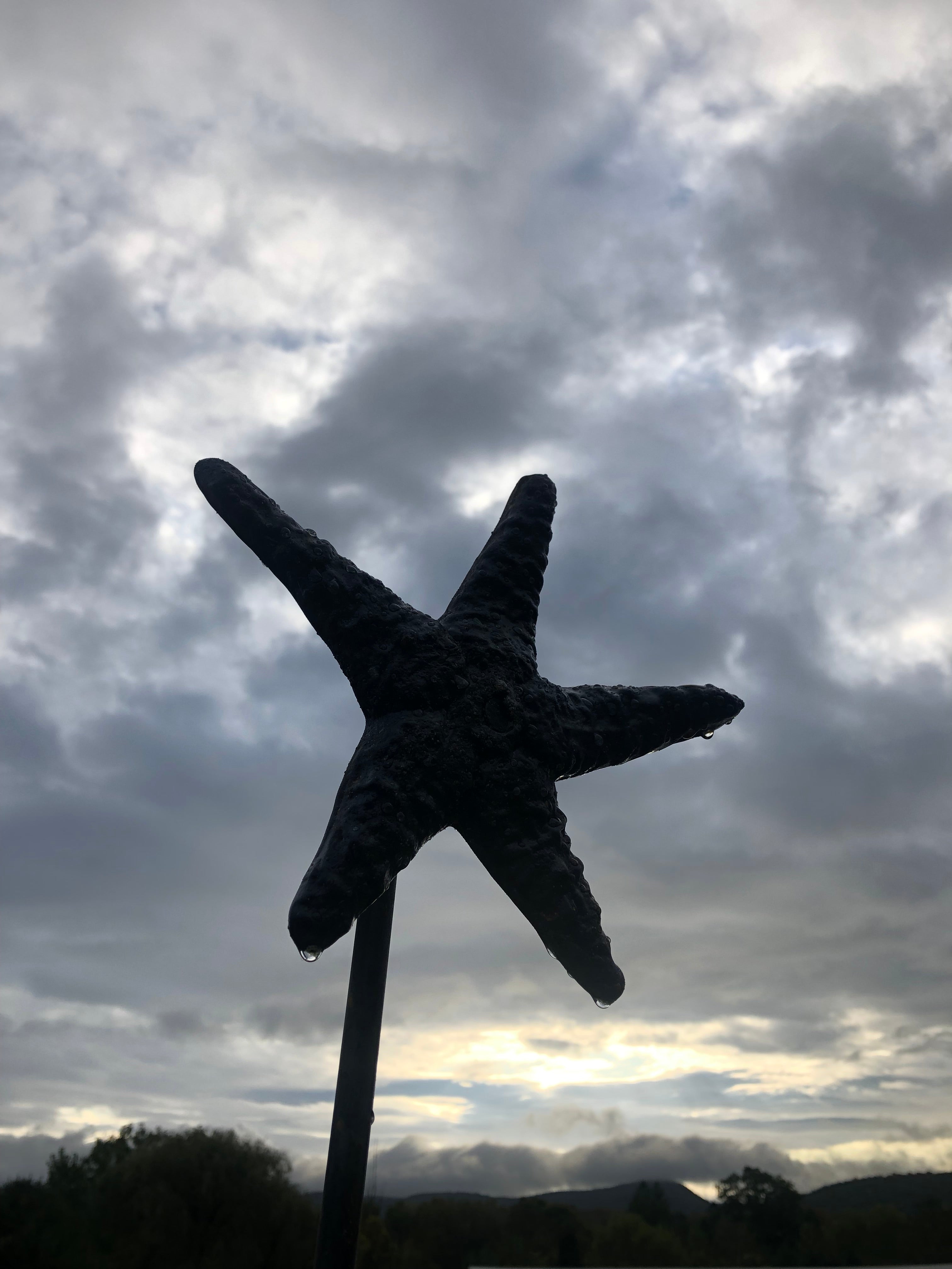 Starry Starry Iron Stars
