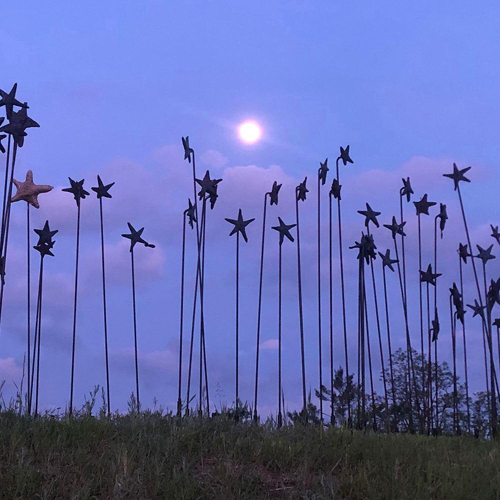 Starry Starry Iron Stars