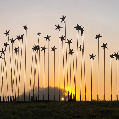 Starry Starry Iron Stars